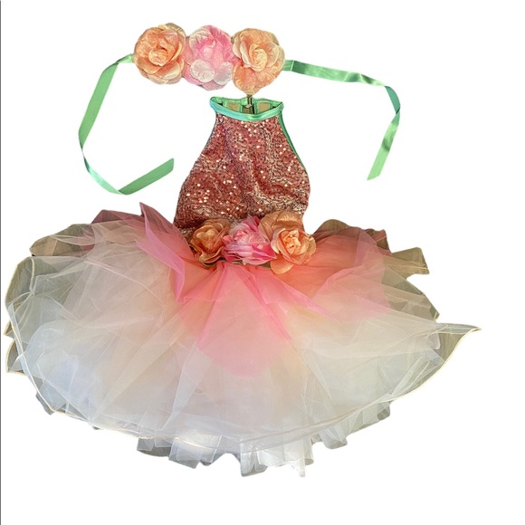 Weissmann Floral tutu ballet costume dress with floral ribbon headband